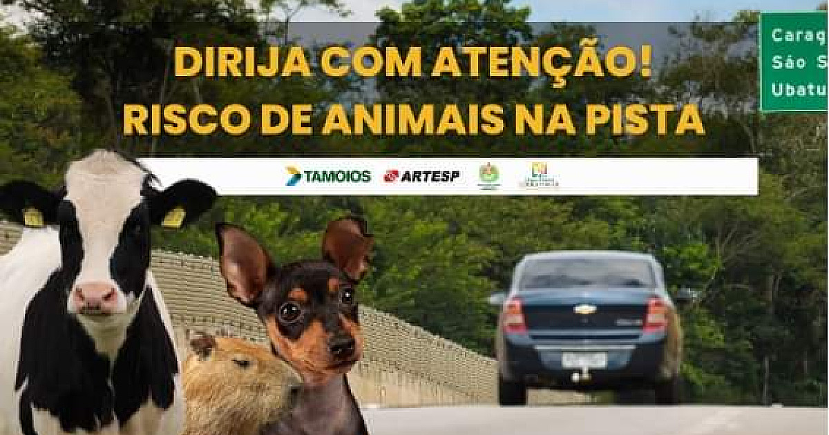Tamoios intensifica ações para segurança de animais na rodovia