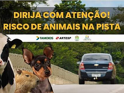 Tamoios intensifica ações para segurança de animais na rodovia