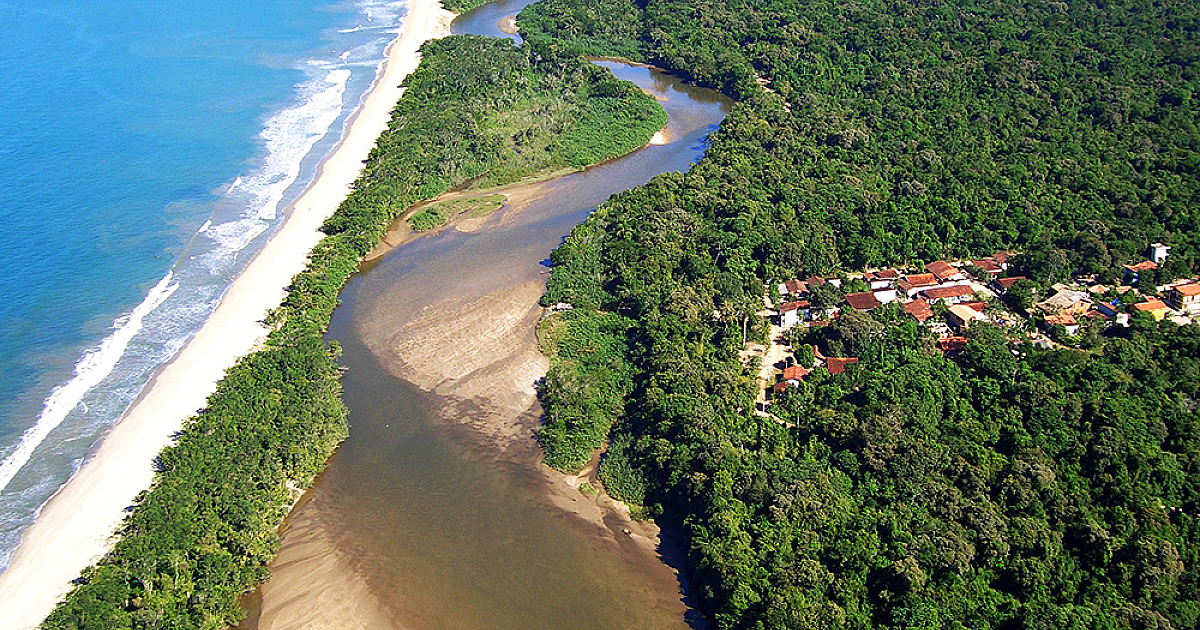 Festival da Mata Atlântica celebra biodiversidade com cultura, ciência e educação