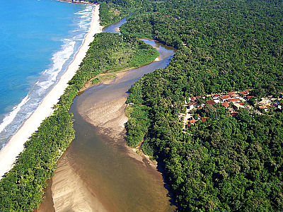 Festival da Mata Atlântica celebra biodiversidade com cultura, ciência e educação