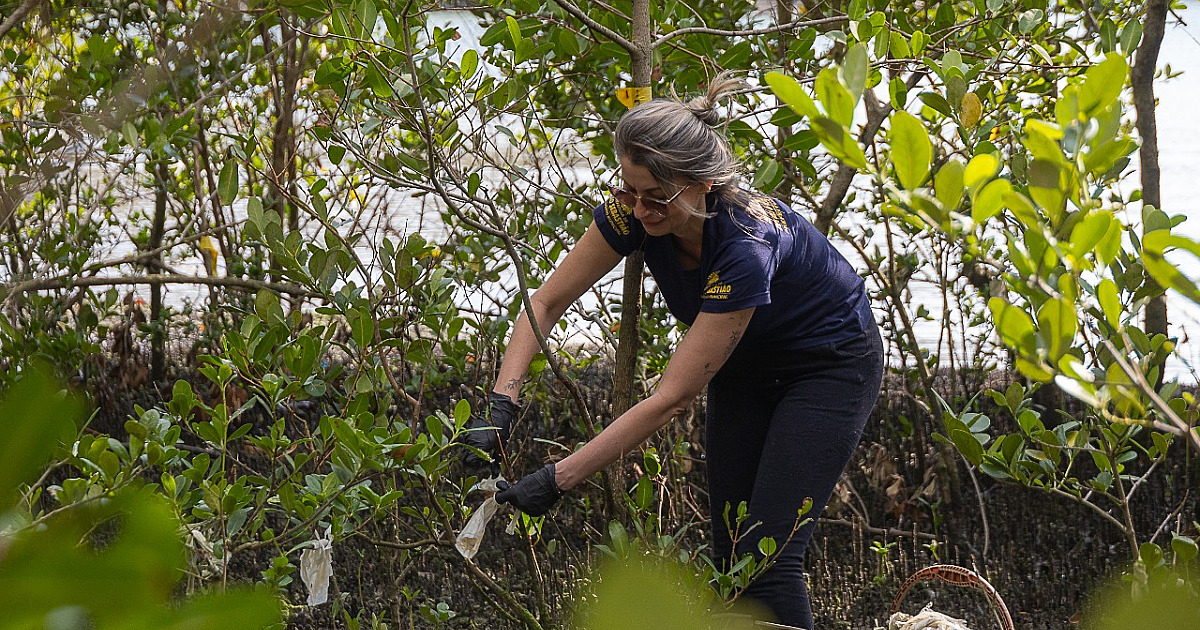 Prefeitura de São Sebastião realiza ação de limpeza no Mangue do Araçá