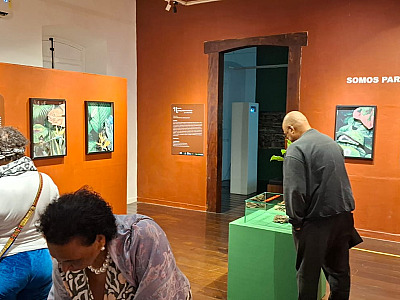 Exposição ‘Herança em Camadas’ é marcada por forte presença do público em São Sebastião