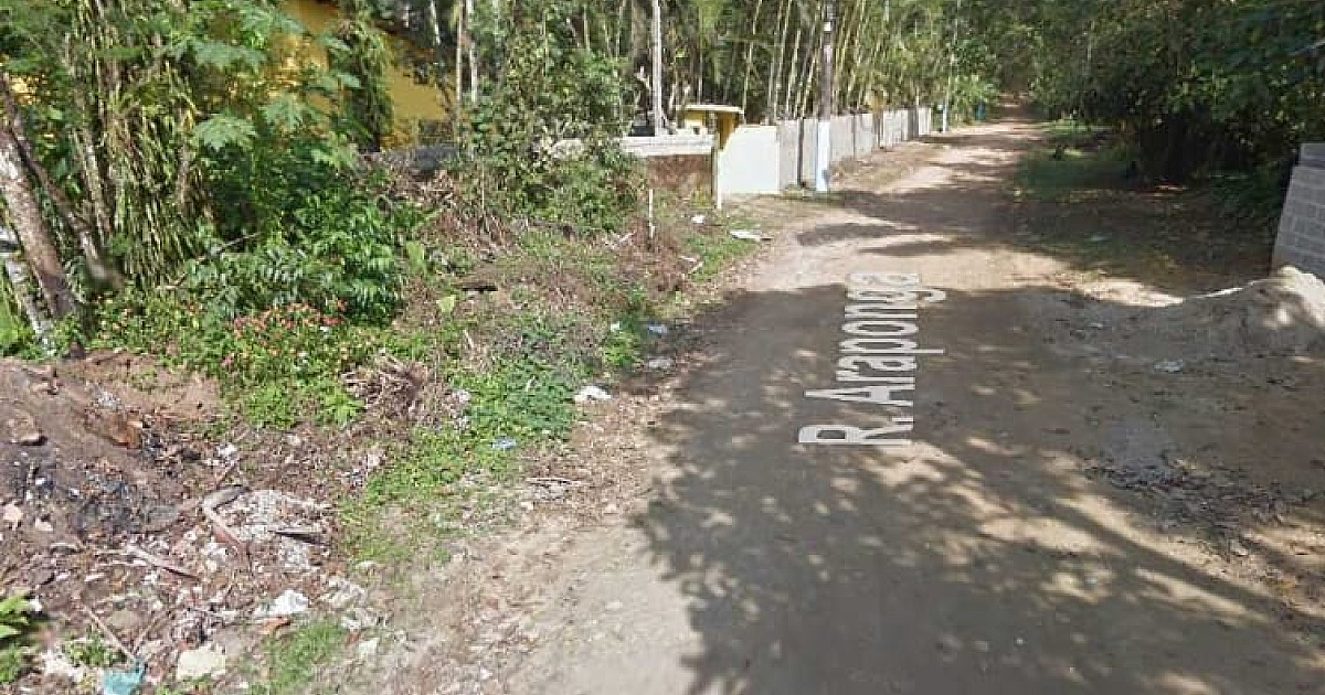 Homem morre ao cortar árvore em Ubatuba