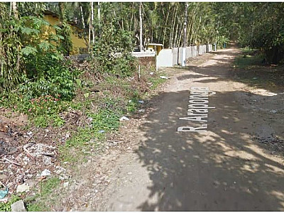 Homem morre ao cortar árvore em Ubatuba