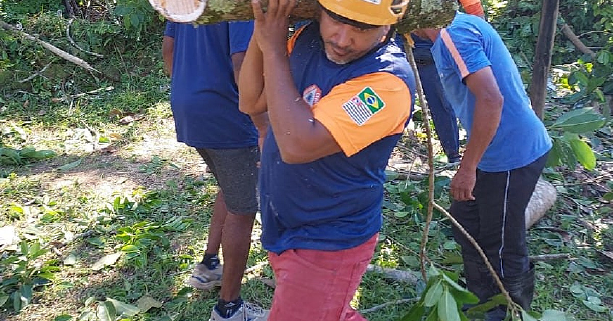 Defesa Civil realiza poda de árvores em Castelhanos