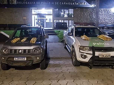 Ambiental flagra palmiteiro com Jussara cortado ilegalmente no Parque Estadual da Serra do Mar em Caraguatatuba