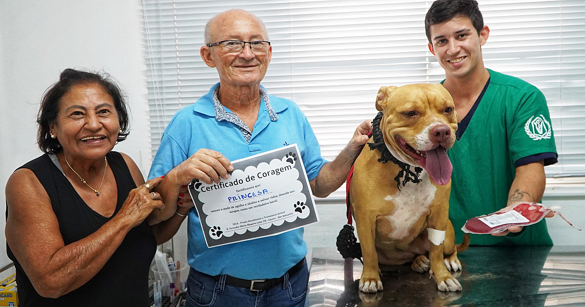 PATA recebe primeira doadora da Campanha Sangue Bom Pra Cachorro