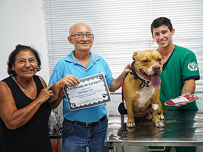PATA recebe primeira doadora da Campanha Sangue Bom Pra Cachorro