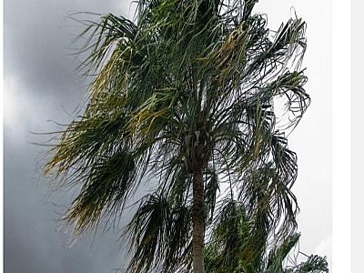 Frente Fria mantém instabilidade no tempo até o fim de semana no Litoral Norte