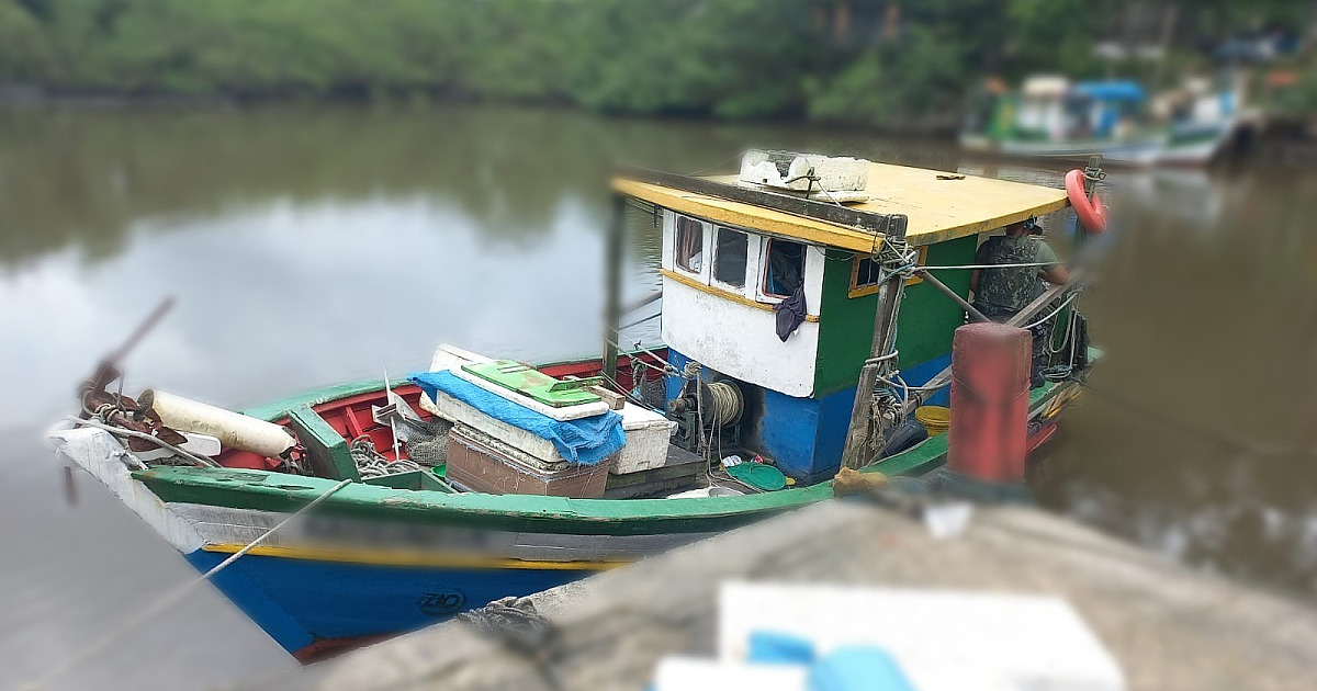 Polícia Ambiental apreende embarcação que escondia Raia Viola em Ubatuba