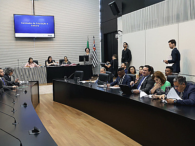 Comissão de Educação e Cultura da Alesp dá aval a projetos sobre segurança nas escolas