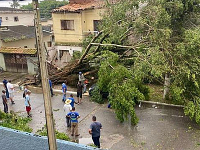 Defesa Civil de São Sebastião atende ocorrências devido à chuva