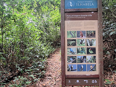 Ilhabela consolida-se como destino de ecoturismo e investe na estruturação de seus atrativos naturais