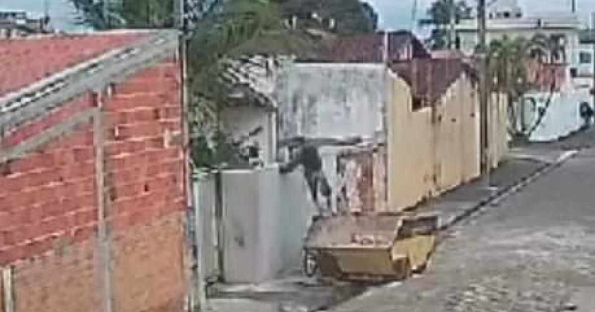 Polícia Civil procura ladrão que aterroriza o Jardim Gaivotas 
