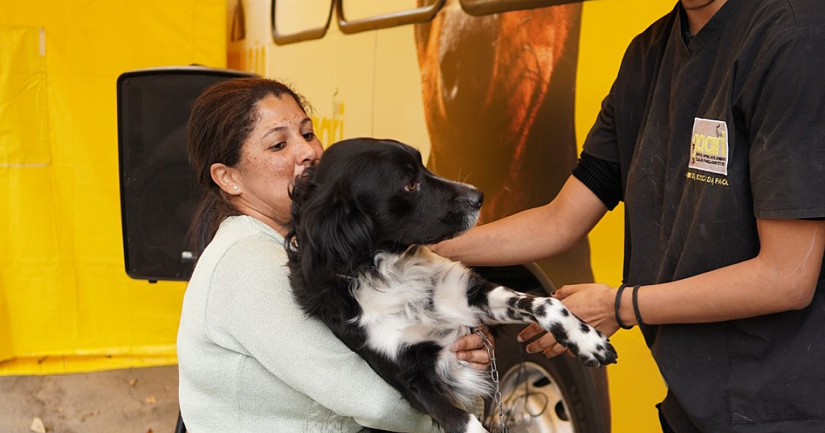Maior programa de castração atende mais de 3 mil animais no Vale do Paraíba