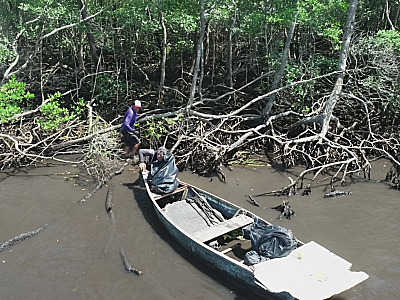 Mar Sem Lixo remove 10 toneladas de resíduos dos manguezais e garante renda a pescadores