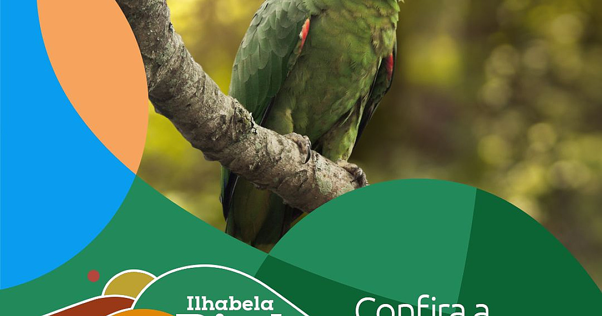 Ilhabela Bird Week 2023 celebra Natureza e Observação de Aves a partir do dia 18