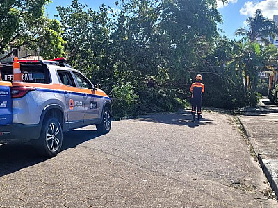 Moradores de Caraguatatuba afetados pelo vendaval de julho podem sacar FGTS por calamidade