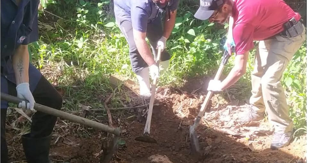 Homem mata vizinho, enterra corpo no quintal e confessa crime na terapia