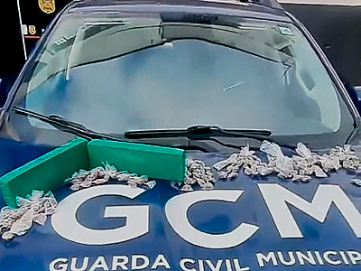 GCM apreende quase 2 kg de maconha no Olaria, em Caraguatatuba
