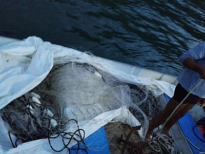 Polícia Ambiental flagra pescador com rede irregular em Ubatuba
