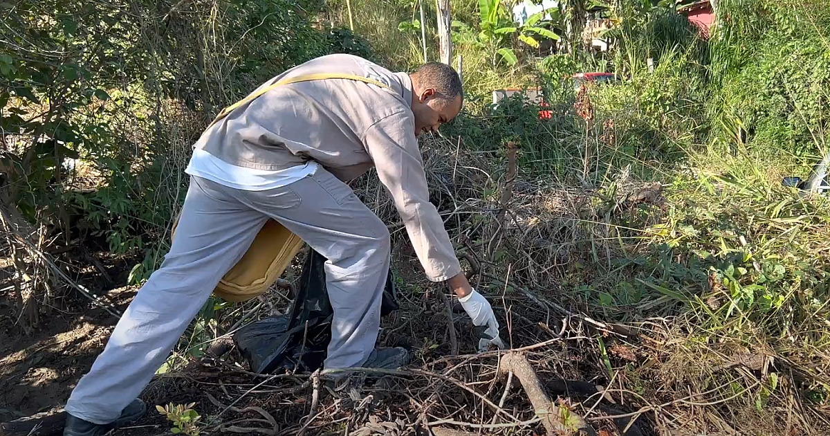 Ilhabela registra queda no índice larvário do Aedes Aegypti