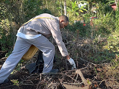 Ilhabela registra queda no índice larvário do Aedes Aegypti