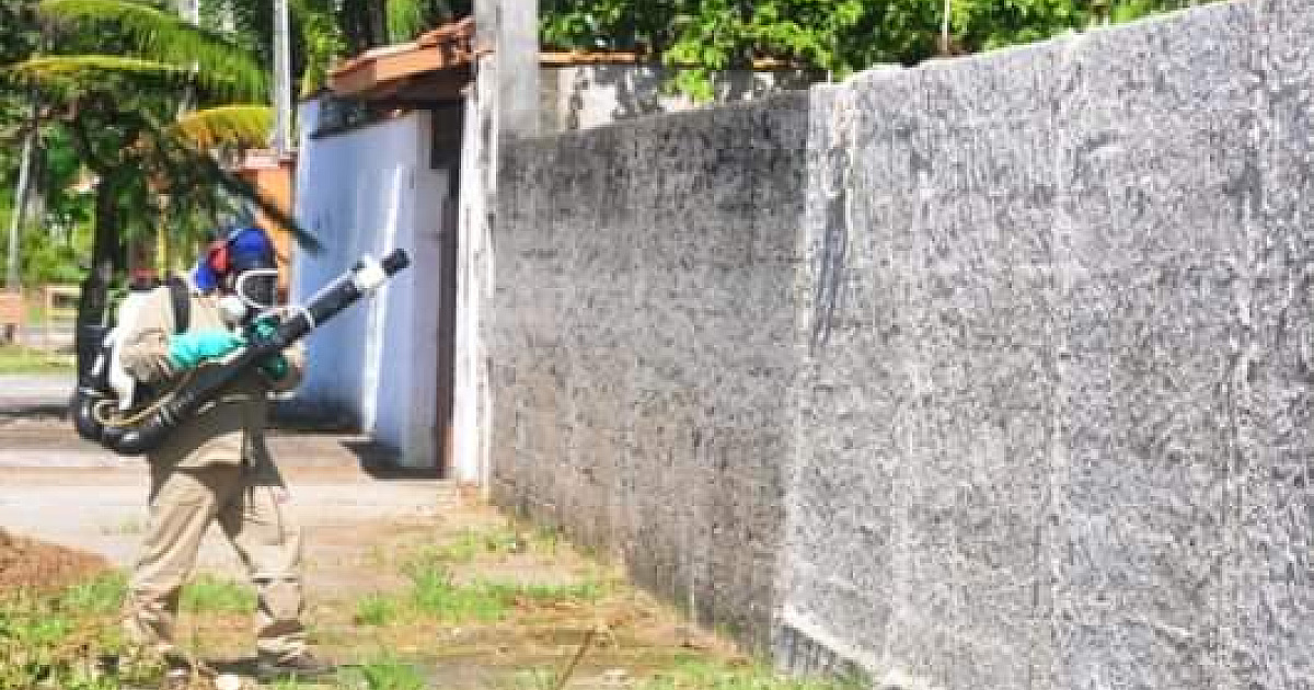 Caraguá com risco de infestação do mosquito Aedes aegypti, mostra ADL