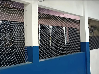 Escola em Caraguatatuba fecha refeitório em que pombos foram flagrados na merenda dos alunos