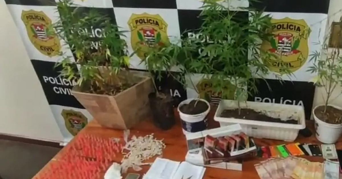 "Mantus", da Polícia Civil, apreende drogas e desarticula quadrilha do jogo do bicho em Ubatuba
