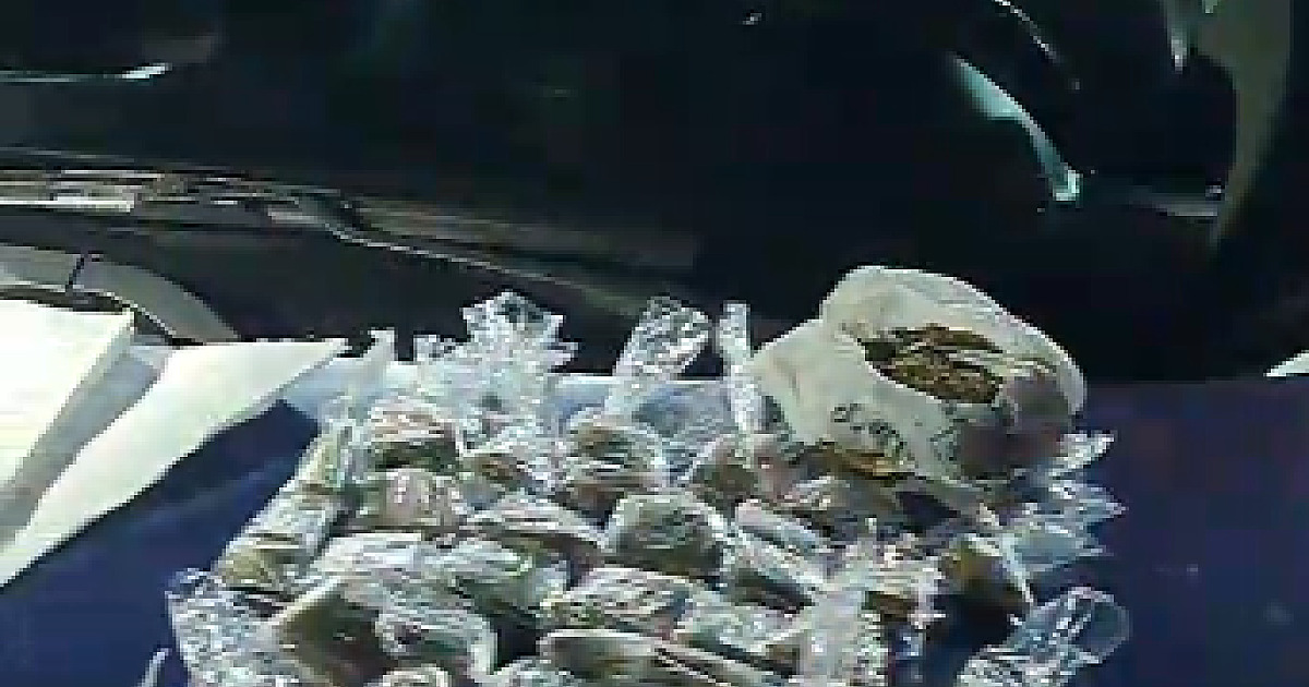 Tráfico de drogas é desarticulado com centenas de doses apreendidas