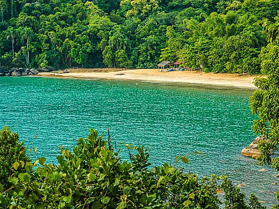 Tragédia em Ubatuba: Pai e Filho morrem eletrocutados em trilha