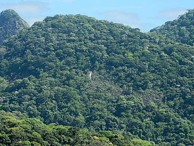 IBGE acata decisão do MPF para atualizar Mapa da Mata Atlântica 