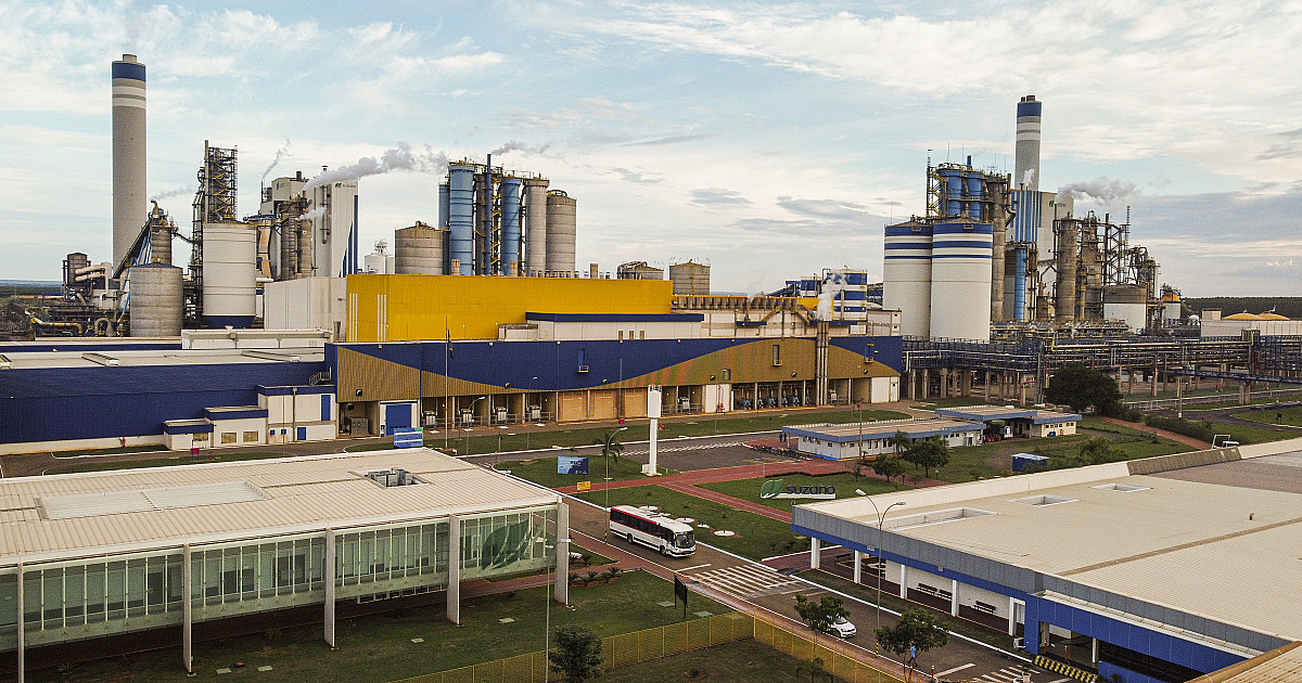 Suzano abre inscrições para o Programa de Trainee 2023