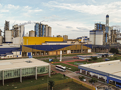 Suzano abre inscrições para o Programa de Trainee 2023