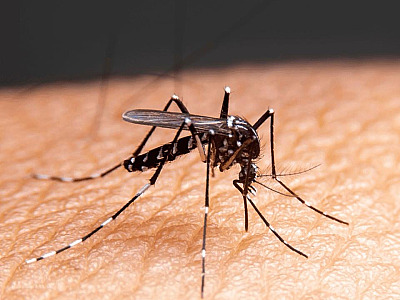 São Sebastião adota “regime sentinela” e amplia atendimento em USFs em bairros vulneráveis à dengue no município