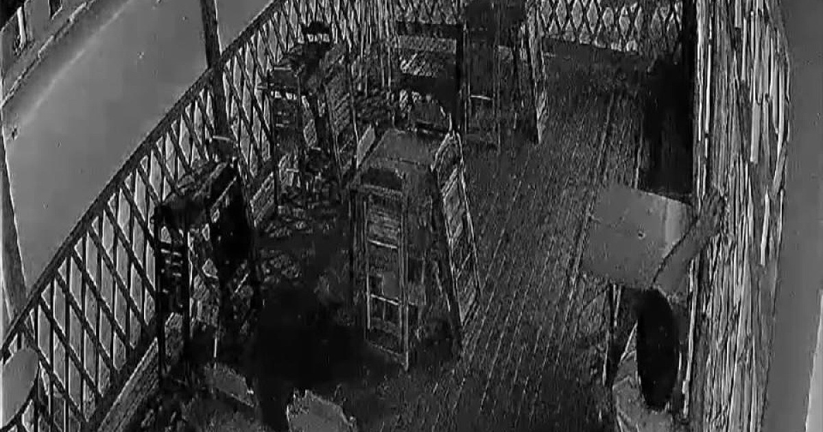 Ladrão arromba porta de lanchonete em Ilhabela e furta dinheiro do caixa