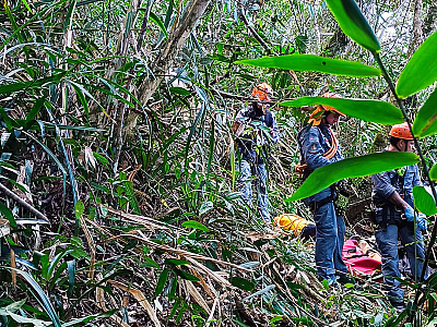 Homem morre após queda de asa-delta no Morro Santo Antônio, em Caraguatatuba