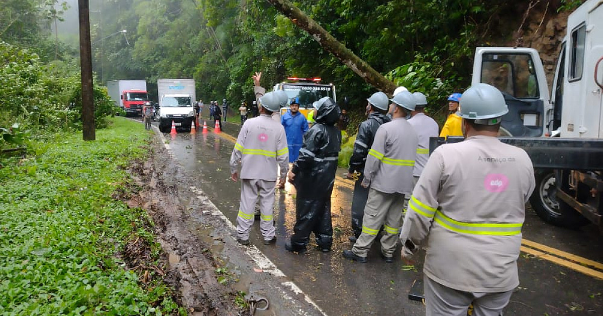 Chuva volta e provoca queda de árvore e interdição da rodovia SP-55 (Rio-Santos)