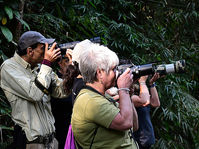 Ilhabela realiza Bird Week 2025 com programação especial de observação de aves e educação ambiental
