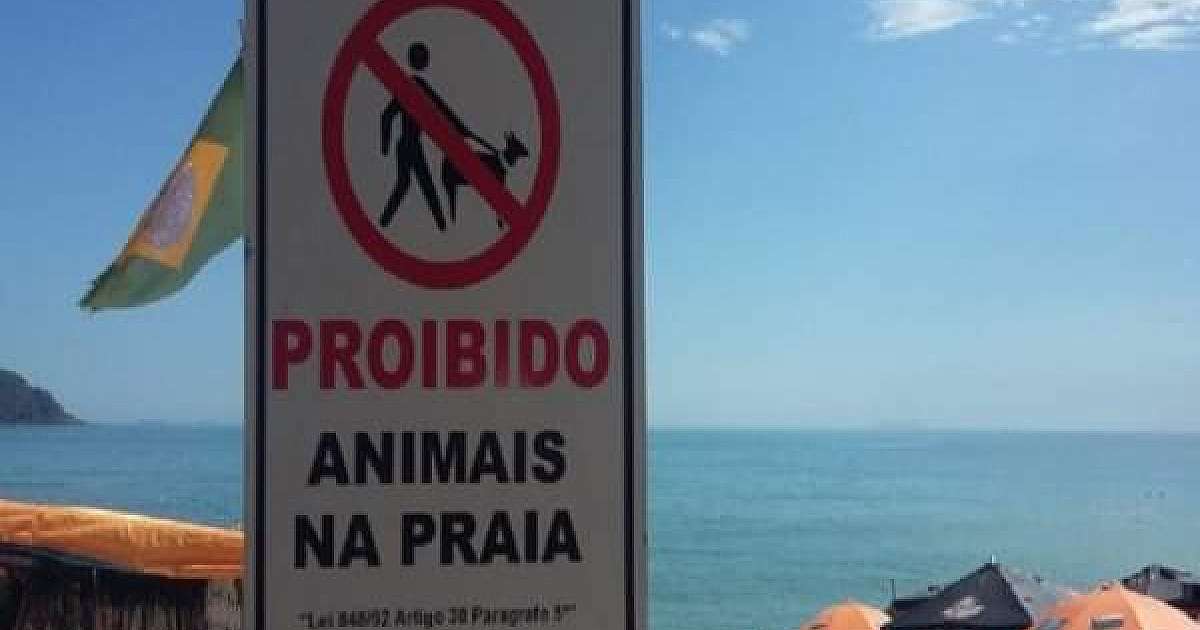 São Sebastião aumenta multa para quem levar animais nas praias da cidade