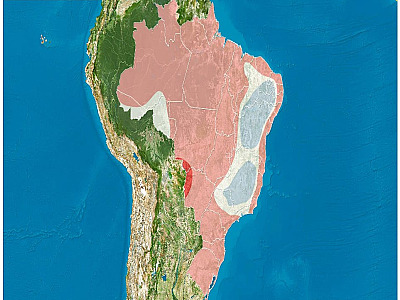 Junho terá a passagem de três frentes frias, mas frio não será intenso, diz a previsão do tempo