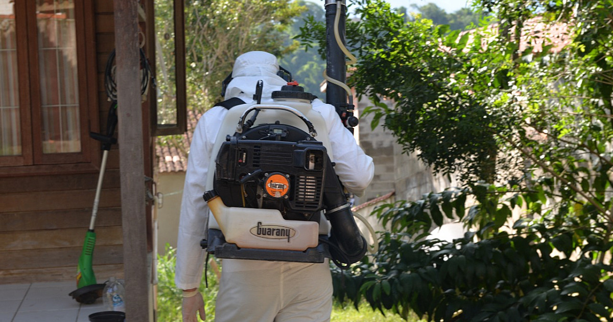 Prefeitura de Ilhabela intensifica ofensiva contra o mosquito Aedes Aegypti no município