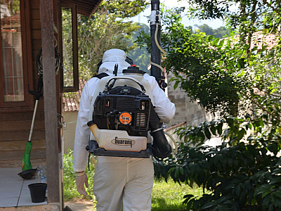 Prefeitura de Ilhabela intensifica ofensiva contra o mosquito Aedes Aegypti no município