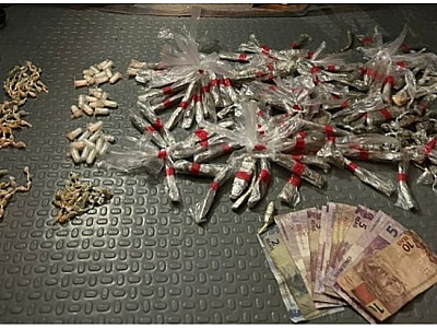 "Irmãos do crime" são presos pela PM em Ubatuba