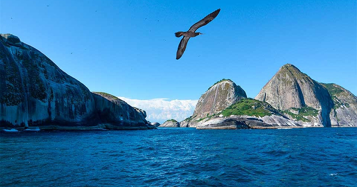 Impasse e incerteza rondam realização de exercício de tiros em ilha do Refúgio de Alcatrazes