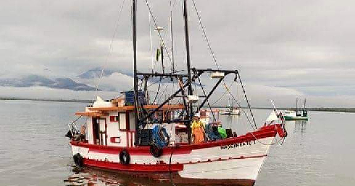Pesca do camarão volta a ser liberada no Litoral Norte