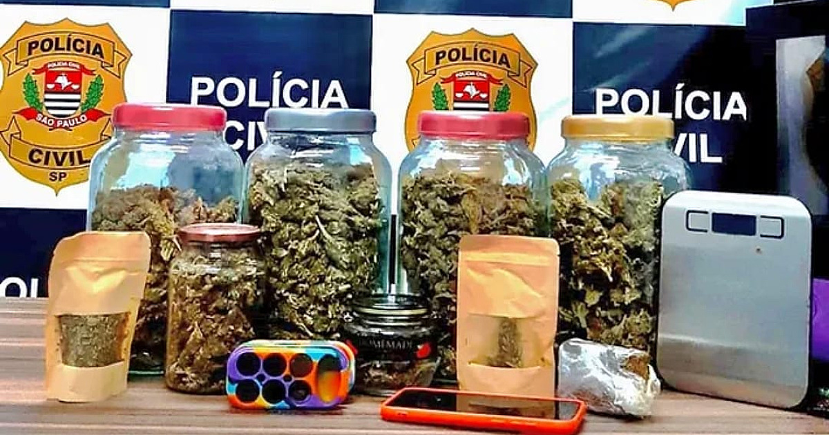 Polícia Civil prende traficante foragido com porções de Maconha, Skunk e Haxixe em Ilhabela 
