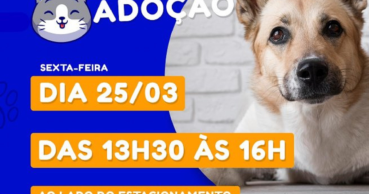 Prefeitura promove Feira de Adoção de Cães e Gatos esta tarde (25), no Centro
