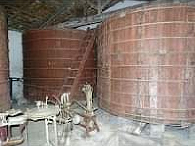 LN comemora o Dia da Cachaça; região está no rol de produtores da bebida histórica